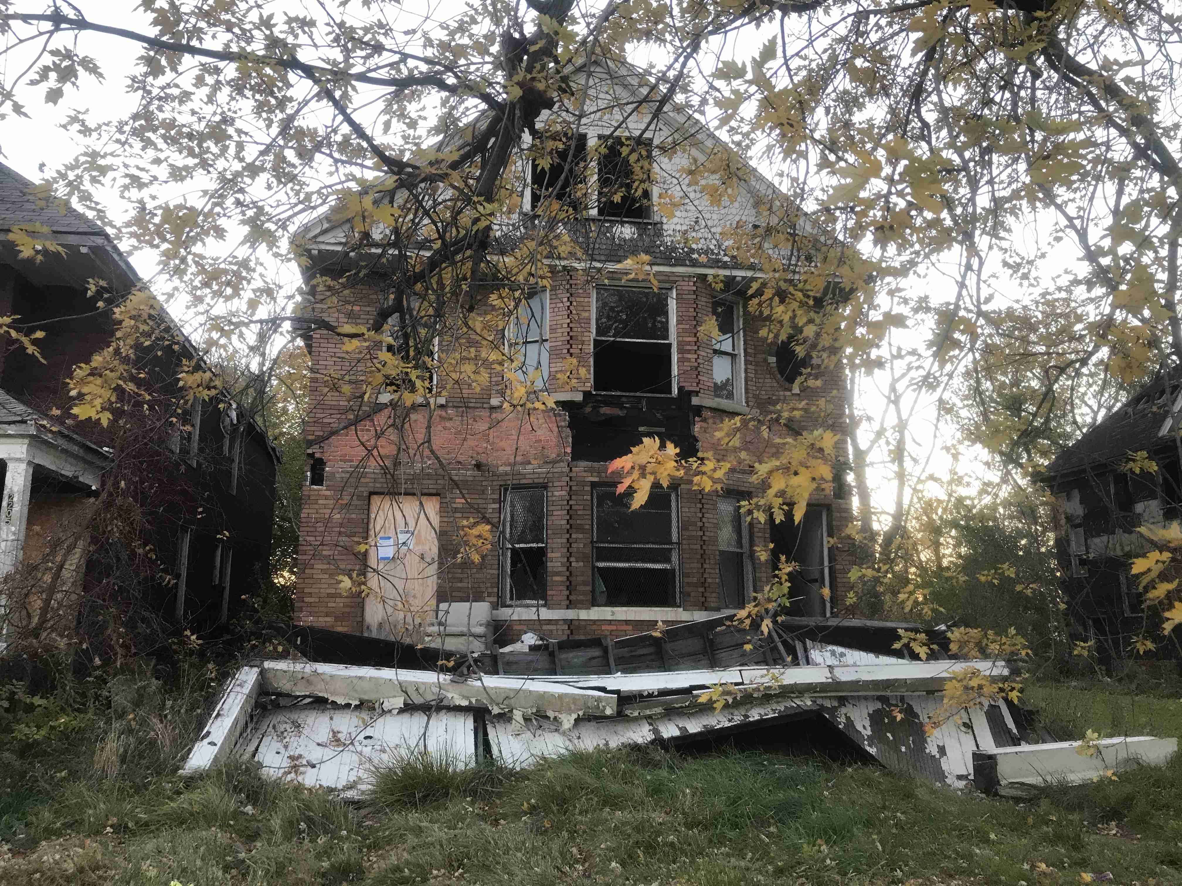 Photo Nov 04, 5 15 33 PM.jpg